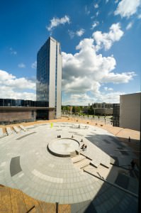 shutterstock_31230601 (1)