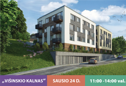 20150119_ADD_Visinskio