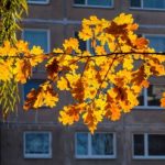 Buyers Show No Interest in Overpriced Housing