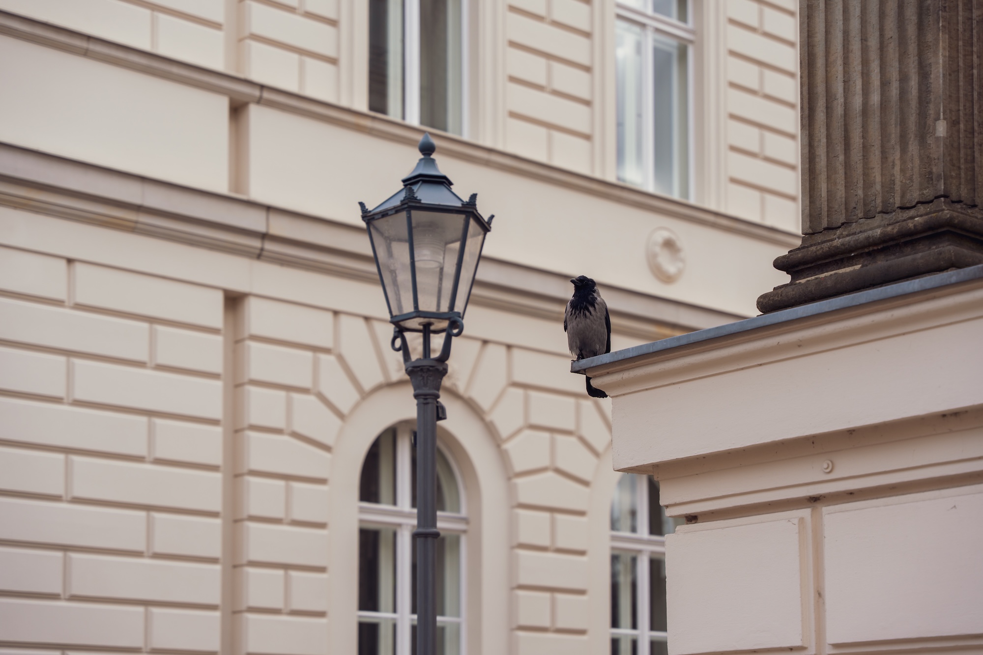 Būsto rinkoje matomi pirmieji stabilizacijos ženklai